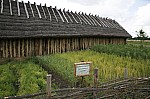 _MG_1161.jpg _MG_1161.jpg