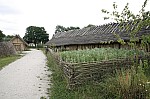 _MG_1162.jpg _MG_1162.jpg