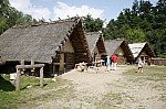 _MG_1182.jpg _MG_1182.jpg