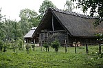 _MG_1201.jpg _MG_1201.jpg
