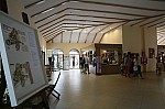 _MG_1217 (2).jpg _MG_1217 (2).jpg
