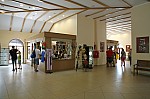 _MG_1218 (2).jpg _MG_1218 (2).jpg