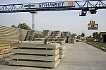 _MG_9303.jpg _MG_9303.jpg