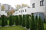 IMG_1448.jpg IMG_1448.jpg