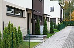 IMG_1499.jpg IMG_1499.jpg