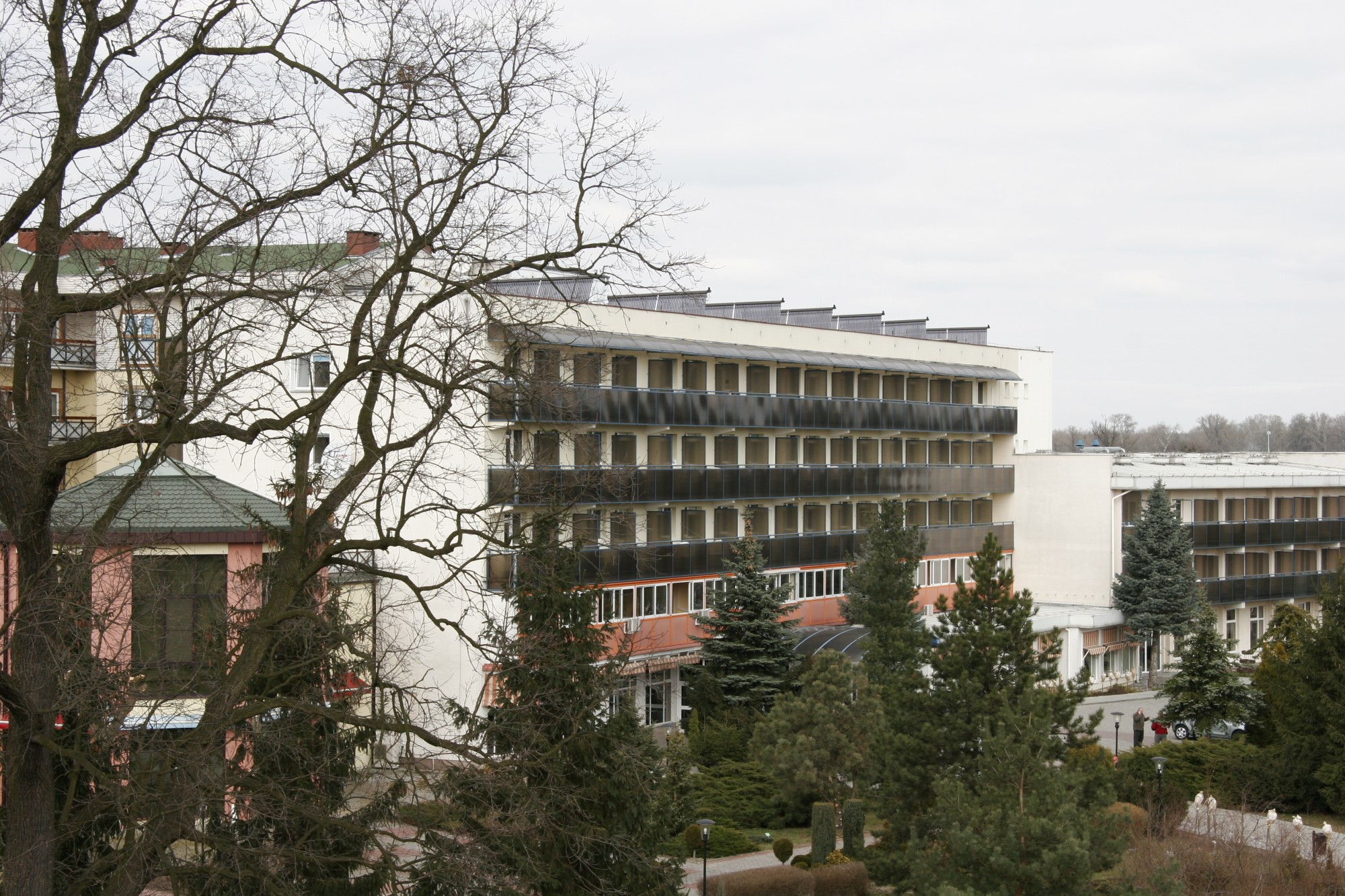 _MG_0110.jpg