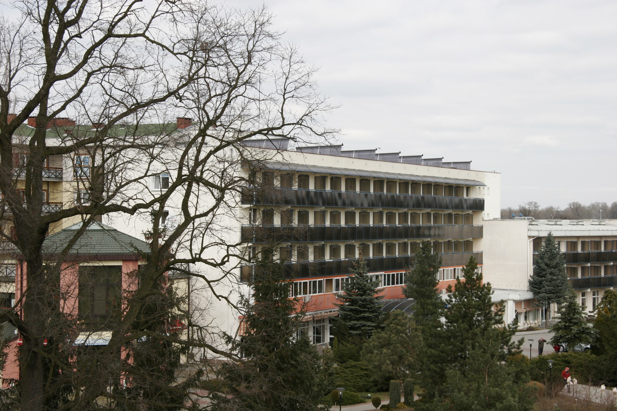 _MG_0111.jpg