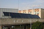 IMG_1388.jpg IMG_1388.jpg