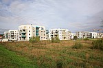 IMG_9310.jpg IMG_9310.jpg