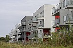 _MG_9001.jpg _MG_9001.jpg