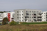 _MG_9003.jpg _MG_9003.jpg