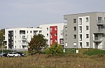 _MG_9004.jpg _MG_9004.jpg