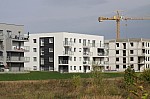 _MG_9005.jpg _MG_9005.jpg