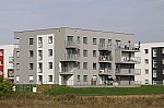 _MG_9006.jpg _MG_9006.jpg