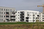 _MG_9007.jpg _MG_9007.jpg