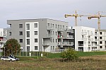 _MG_9010.jpg _MG_9010.jpg