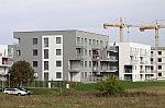 _MG_9013.jpg _MG_9013.jpg
