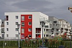 _MG_9017.jpg _MG_9017.jpg