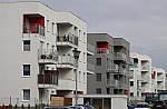 _MG_9018.jpg _MG_9018.jpg