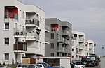 _MG_9019.jpg _MG_9019.jpg