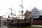_MG_8979.jpg _MG_8979.jpg