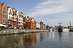 _MG_8981.jpg _MG_8981.jpg