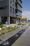 _MG_9119.jpg _MG_9119.jpg
