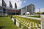 _MG_9136.jpg _MG_9136.jpg
