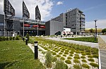 _MG_9137.jpg _MG_9137.jpg