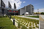_MG_9138.jpg _MG_9138.jpg