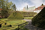 _MG_6003.jpg _MG_6003.jpg