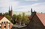 _MG_6017.jpg _MG_6017.jpg