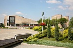 IMG_2495.jpg IMG_2495.jpg