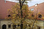 _MG_1779.jpg _MG_1779.jpg
