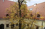_MG_1781.jpg _MG_1781.jpg