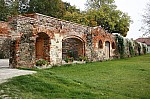 _MG_9811.jpg _MG_9811.jpg