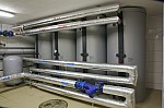 _MG_2784.jpg _MG_2784.jpg