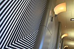 IMG_2538.jpg IMG_2538.jpg