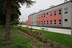 _MG_3135.jpg _MG_3135.jpg