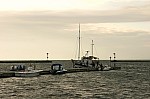 IMG_5201.jpg IMG_5201.jpg