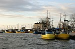 IMG_5218.jpg IMG_5218.jpg