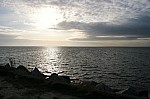 IMG_5235.jpg IMG_5235.jpg