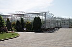 IMG_9832.jpg IMG_9832.jpg