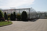IMG_9833.jpg IMG_9833.jpg