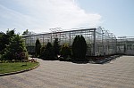 IMG_9836.jpg IMG_9836.jpg
