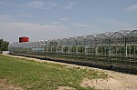 IMG_9848.jpg IMG_9848.jpg