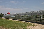 IMG_9849.jpg IMG_9849.jpg