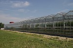 IMG_9857.jpg IMG_9857.jpg