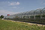 IMG_9858.jpg IMG_9858.jpg