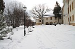 IMG_1756.jpg IMG_1756.jpg